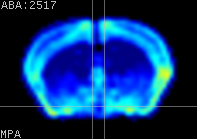 ABA expression energy