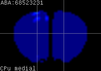 ABA expression energy