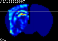 ABA expression energy