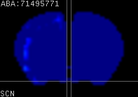 ABA expression energy