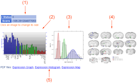 classification