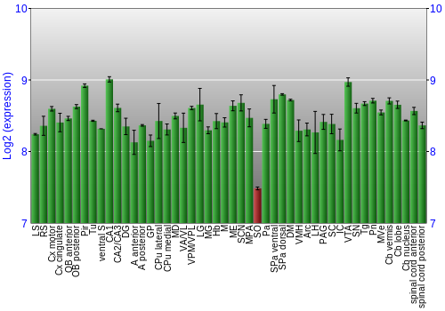 Multi-state expression graph