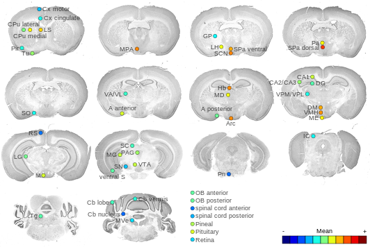 Expression map