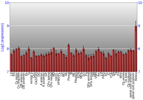 Expression graph