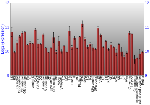 Expression graph