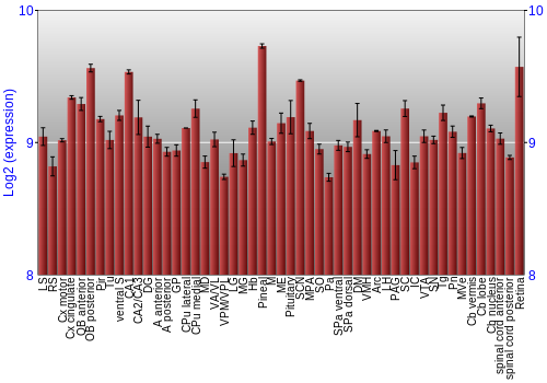 Expression graph