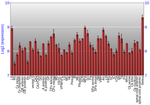 Expression graph