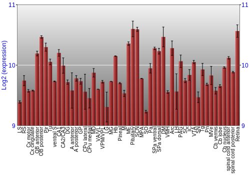 Expression graph
