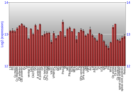 Expression graph