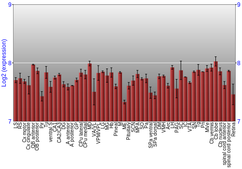 Expression graph