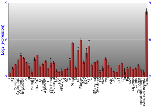 Expression graph