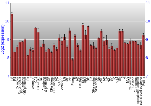 Expression graph