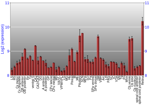 Expression graph