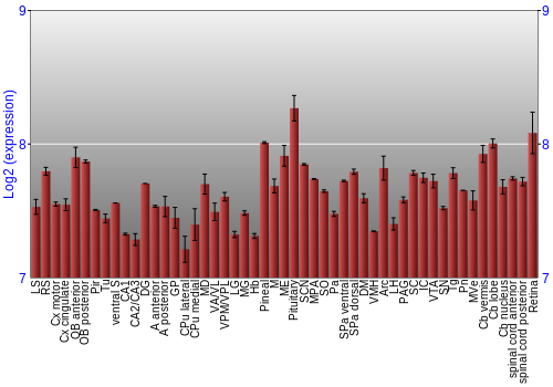 Expression graph