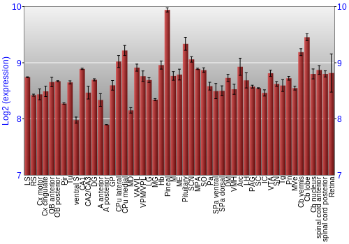 Expression graph