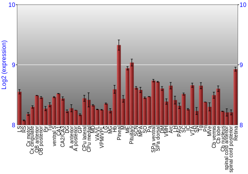 Expression graph