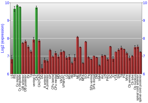 Multi-state expression graph