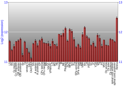 Expression graph