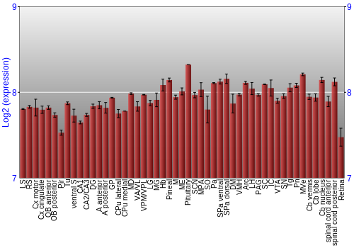 Expression graph