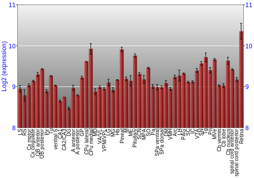 Expression graph