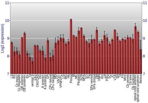 Expression graph