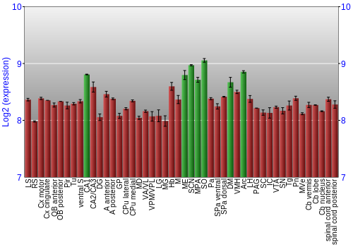 Multi-state expression graph