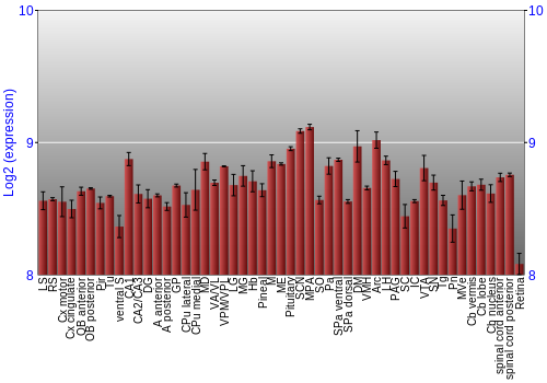 Expression graph