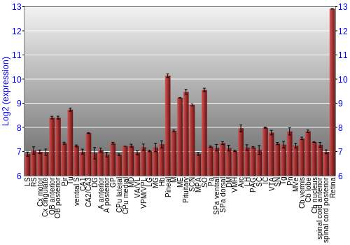 Expression graph
