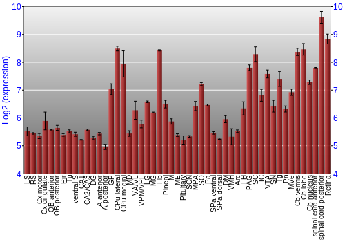Expression graph