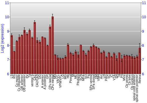 Expression graph
