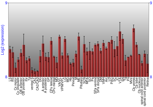 Expression graph