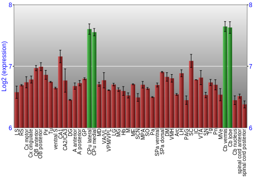 Multi-state expression graph