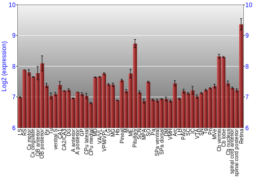 Expression graph