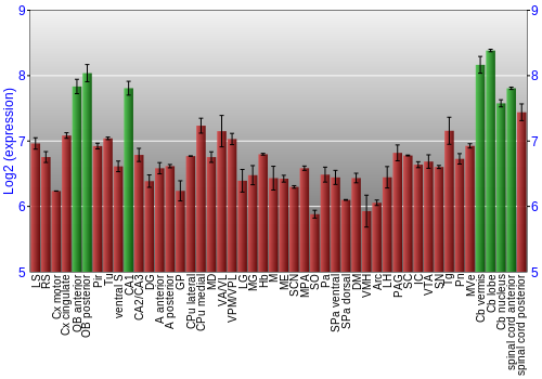 Multi-state expression graph