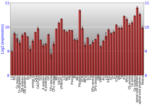 Expression graph