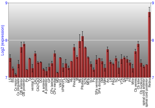 Expression graph