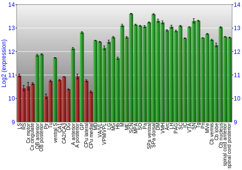 Multi-state expression graph