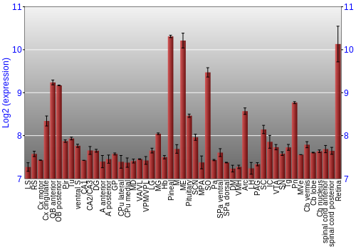 Expression graph