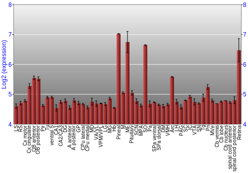 Expression graph