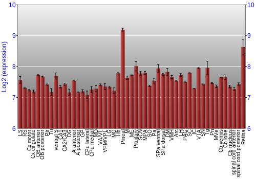 Expression graph