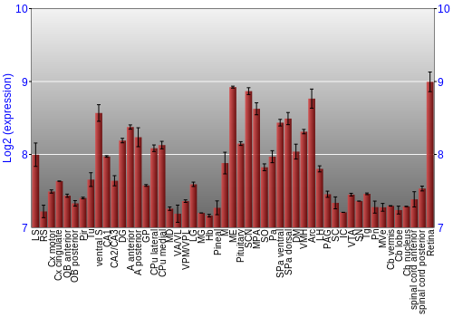 Expression graph