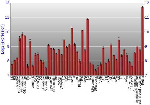 Expression graph