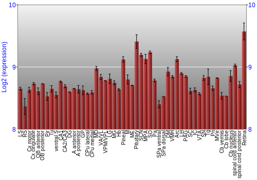 Expression graph