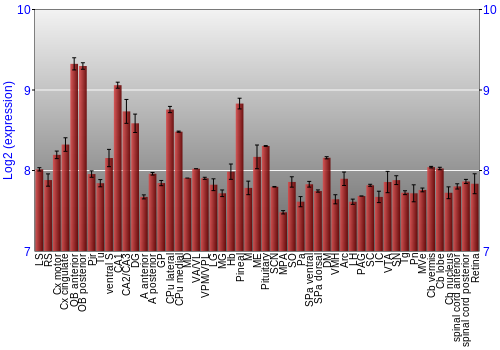 Expression graph