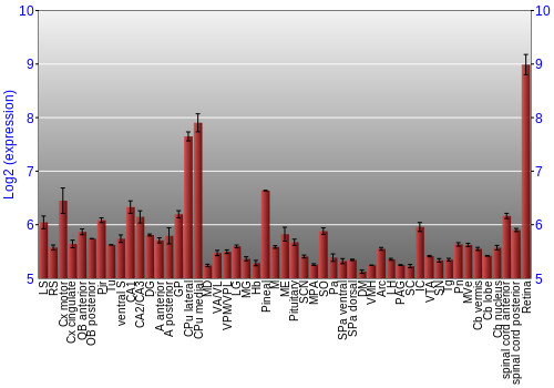 Expression graph