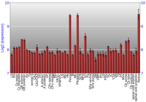 Expression graph
