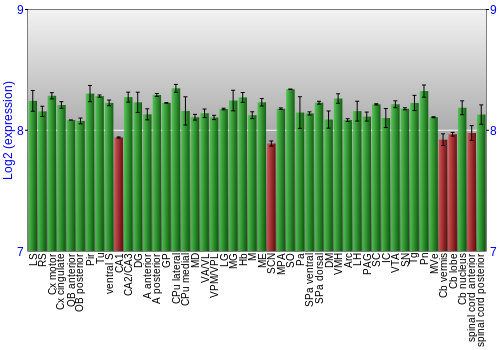 Multi-state expression graph