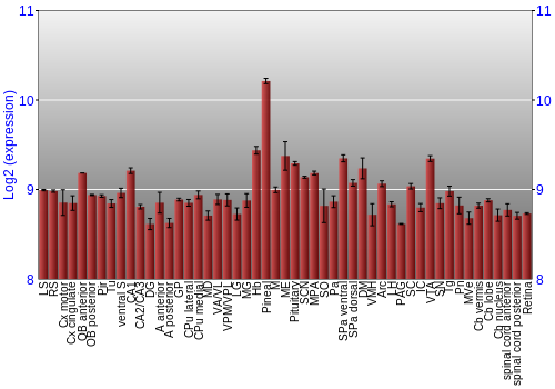 Expression graph