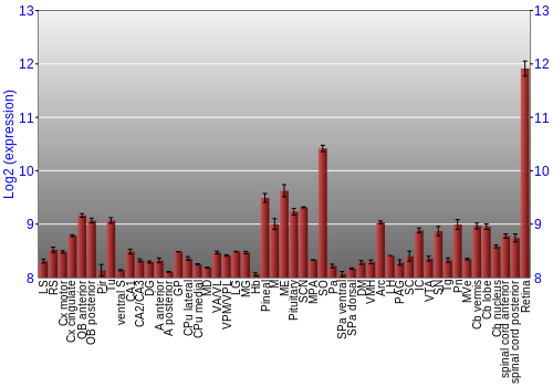 Expression graph