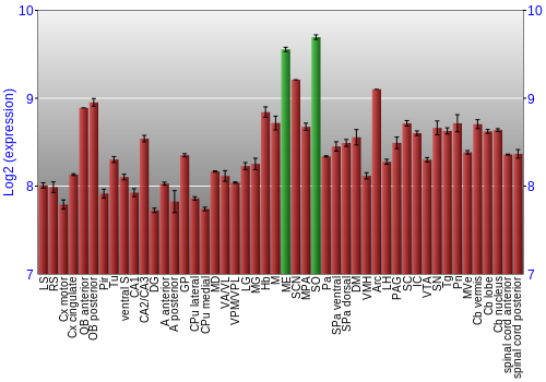 Multi-state expression graph